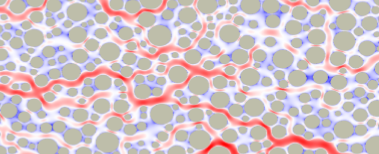 Prediction of velocity distribution from pore structure